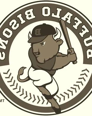 Buffalo Bisons Des Moines