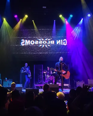 Gin Blossoms Des Moines