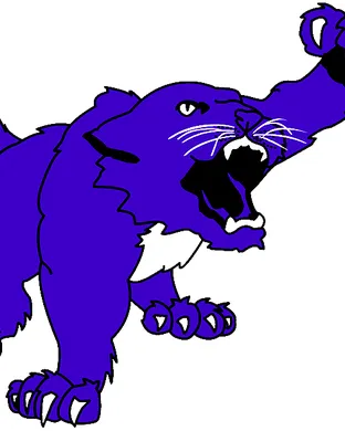 Kansas State Wildcats Ames