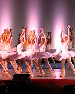 Swan Lake Ames