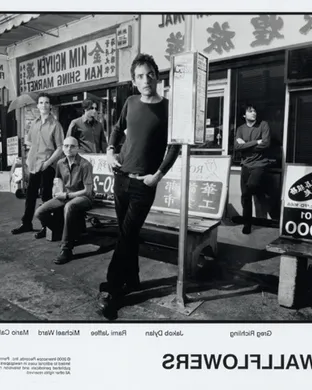 The Wallflowers Des Moines
